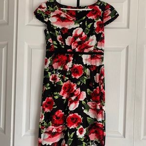 Teaberry dress size 10